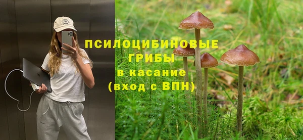 дмт Абдулино