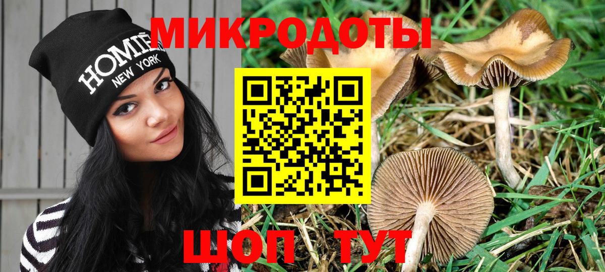 Галлюциногенные грибы мухоморы  закладки  Электросталь  Вход с VPN 